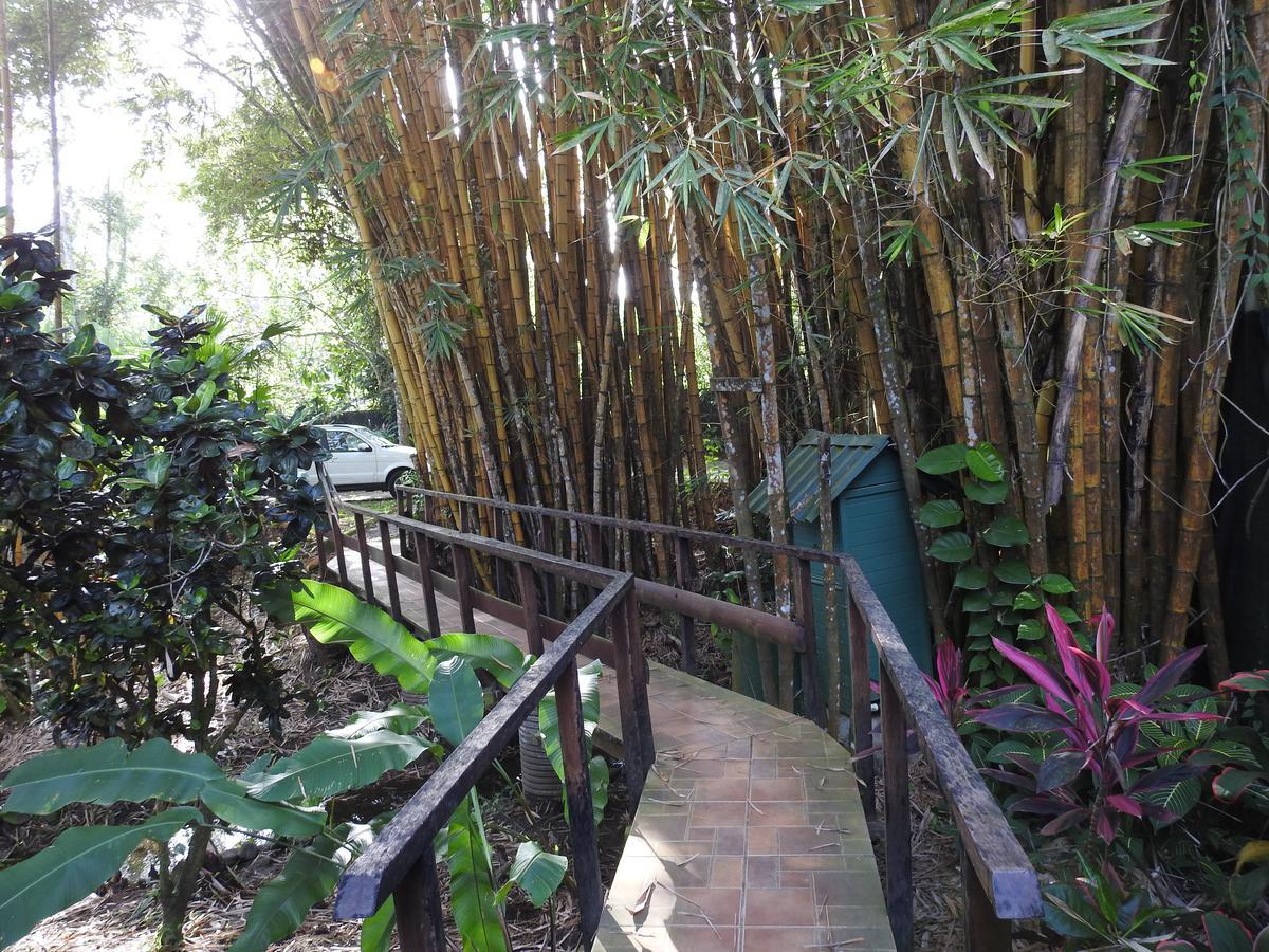 Playa Negra Guesthouse Кахуита Екстериор снимка